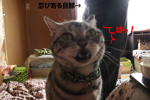 !?