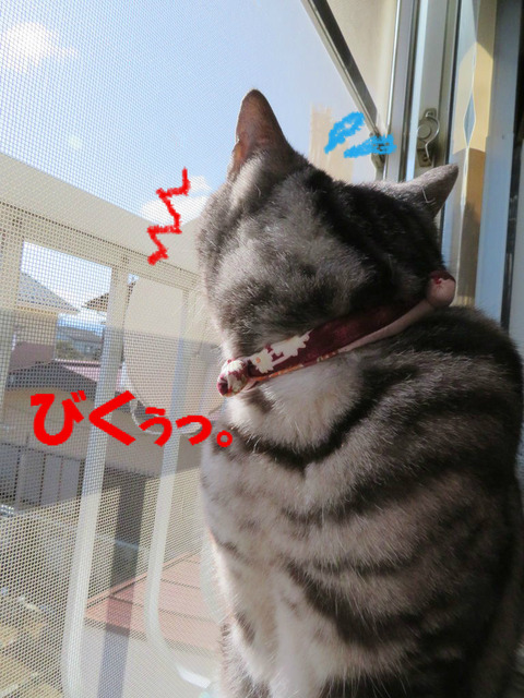 ひいっ!