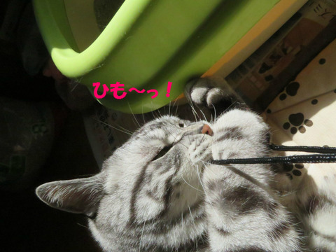 たのち~♪