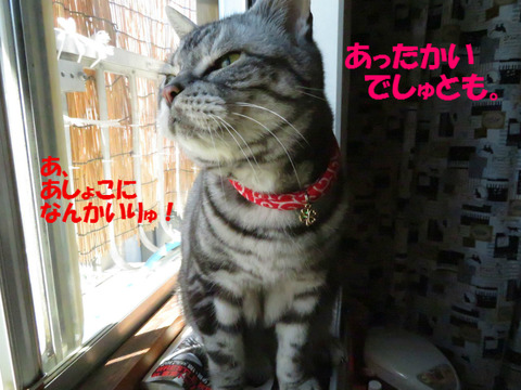 ふ~。
