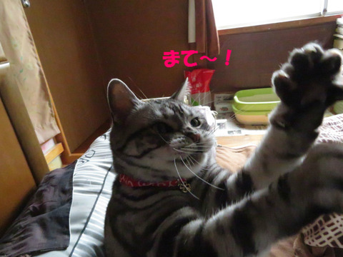 くそ~っ!