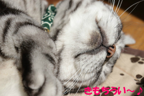 にゅふ~♪