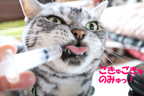 おみじゅ~。