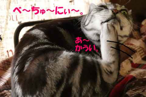 ふふん。
