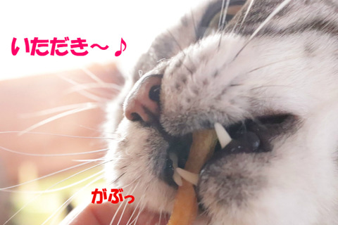 食べう~!