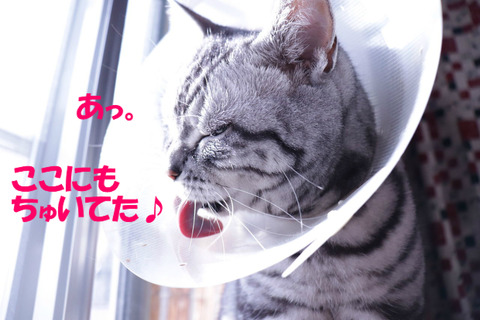 らっき~♪
