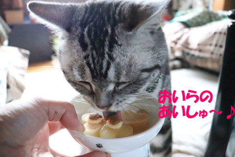 わ~い♪