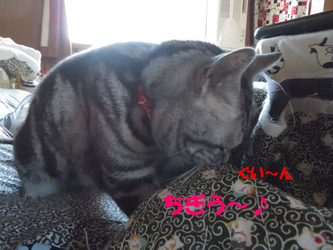 こいちゅめ~♪