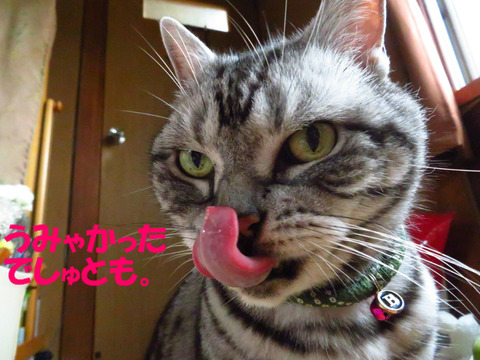 くれうなら食べましゅじょ?