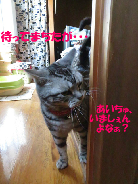 もぉ、おっきい音ちない?