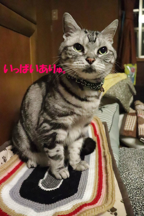 ・・・。