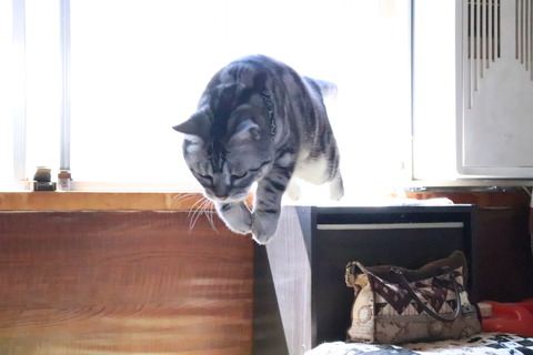 んっ!