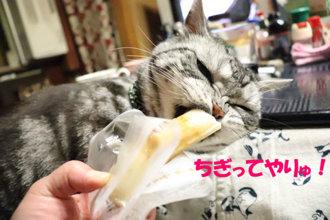 食べうの!