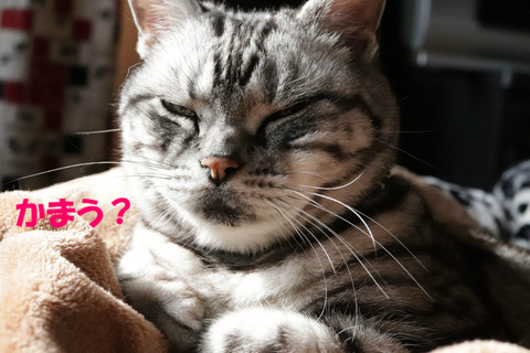 ?