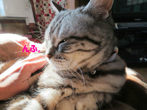 きもちうい・・。