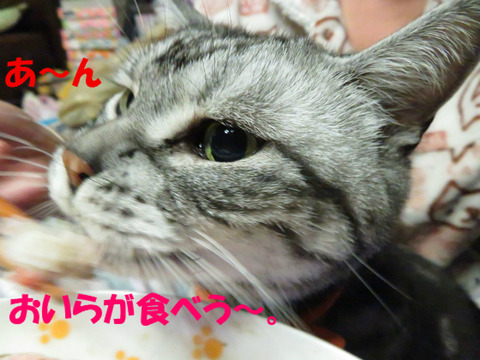 おいらのお口にっ。