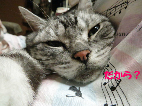 ふん。