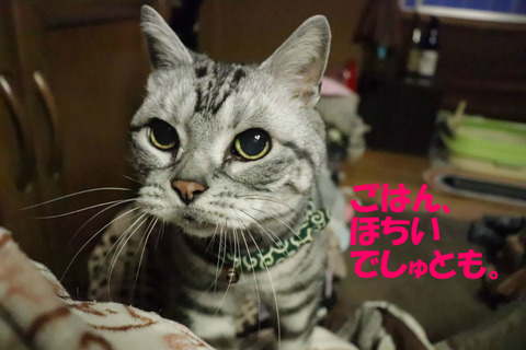 まだ?