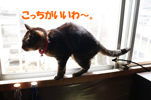 お日様~♪