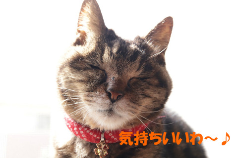 平気よ?