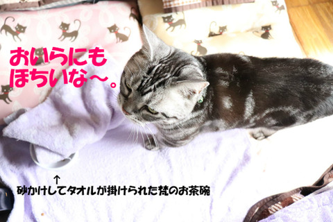 ねぇ、おいらには?