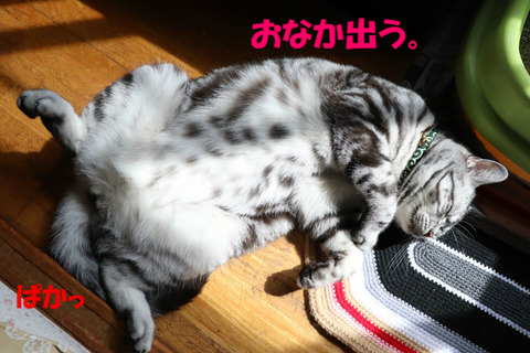 ~♪