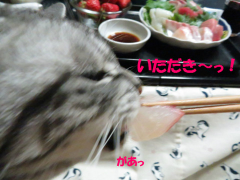 今だっ!