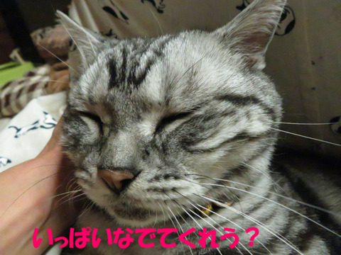 んふっ♪