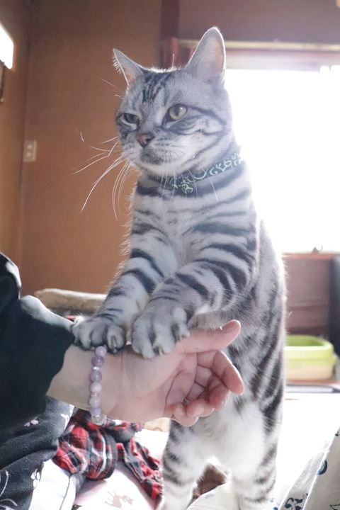 ごはん、まだ?