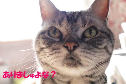 うそだ!