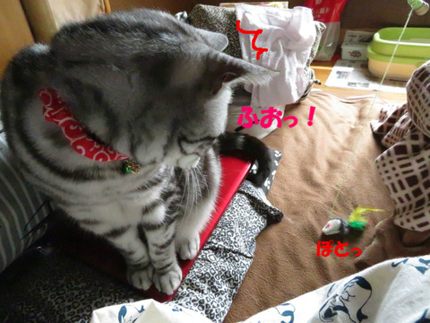 出たっ!