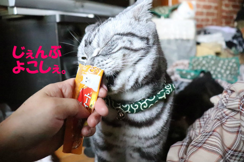 うみゃ~い♪