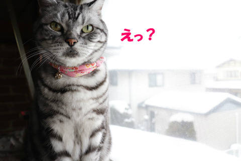 !?