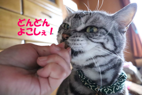 おやちゅはべちゅばりゃ~♪