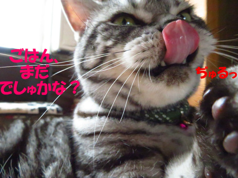 はやくほちいな~。