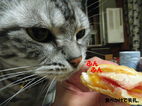 ふお~っ。