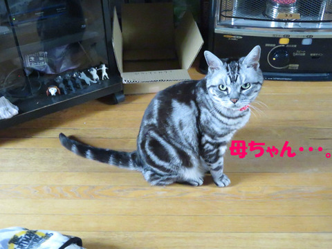 ねぇ。