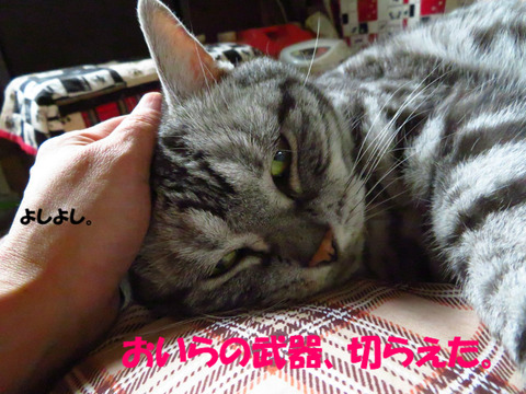 うむぅ。