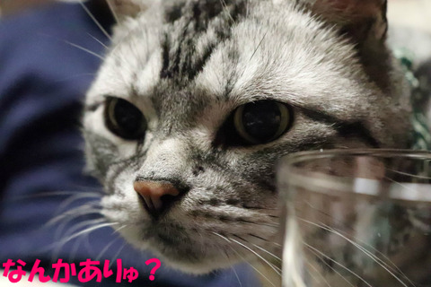 ?