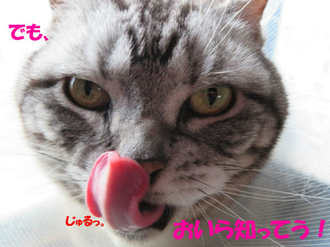 見まちたとも♪