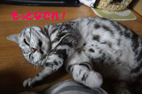 もっと!