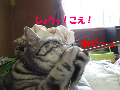 棒~♪