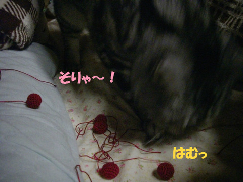 つかまえますとも!