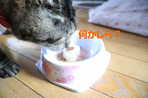 おやつ?