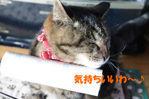 もっとして~♪
