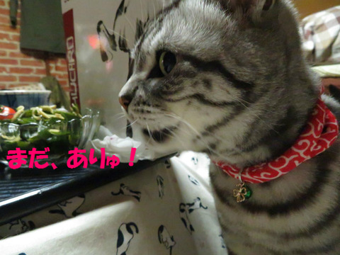おいらも食べう!