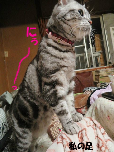 おぉっ。
