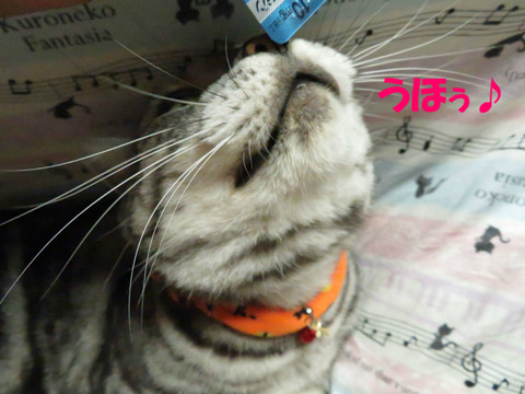 ♪