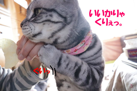 さぁっ!