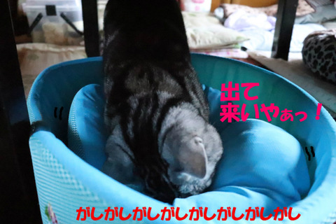 そこかぁ~!